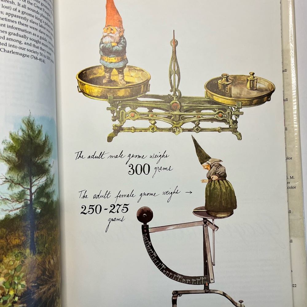 Vintage Gnomes Book; ©️1976 - Picture 3 of 7
